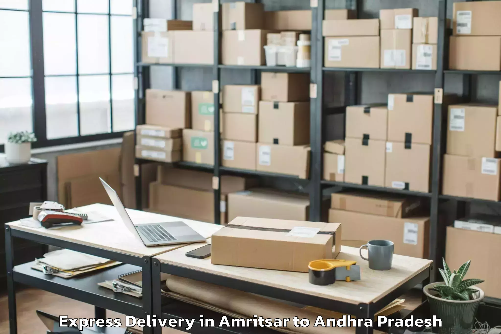 Professional Amritsar to Nekarikallu Express Delivery